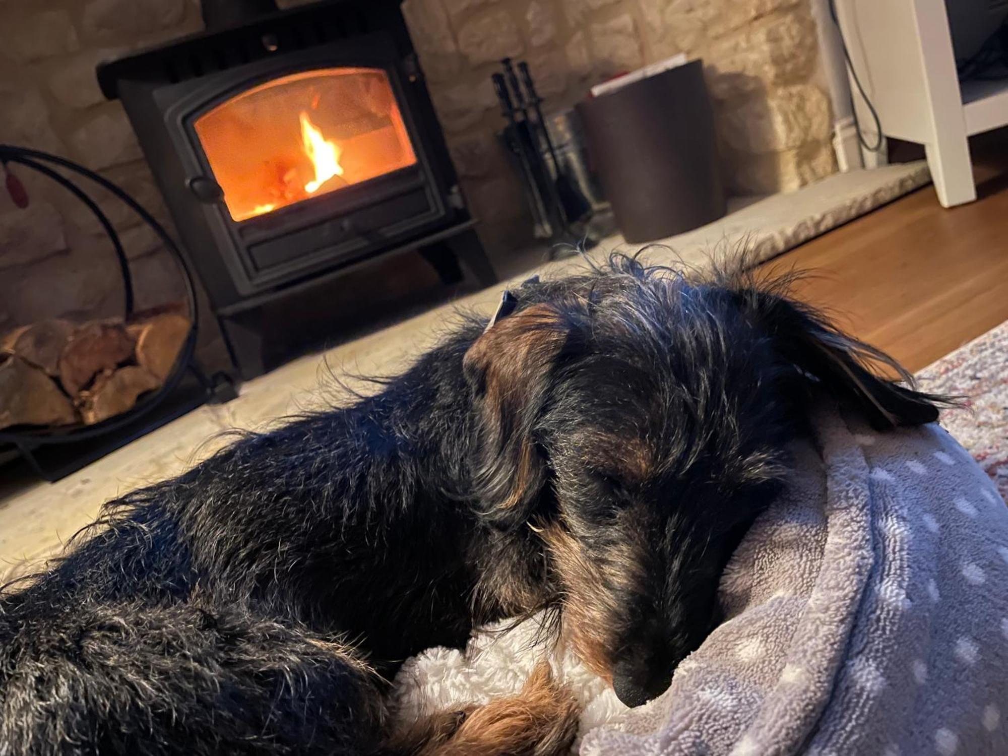 Cosy Cotswold Lodge By Your Home Here - Summer Sale For 3 Plus Nights - Ideal For Families With Log-Burner, Spa, Private Parking And Heated Swimming Pools Ashton Keynes Kültér fotó